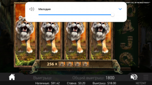 Screenshot_20180727-104405.png