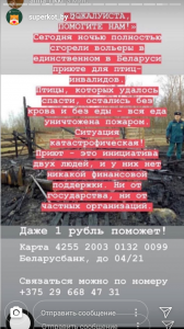Screenshot_2019-03-28-17-55-03-249_com.instagram.android.png