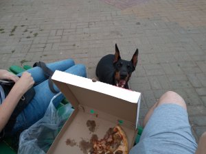 dobe3.jpg