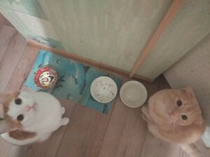 IMG_20200516_232622.jpg