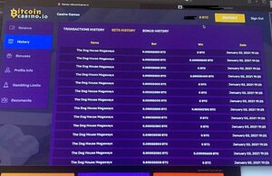 IMAGE 2021-01-03 17:19:39.jpg