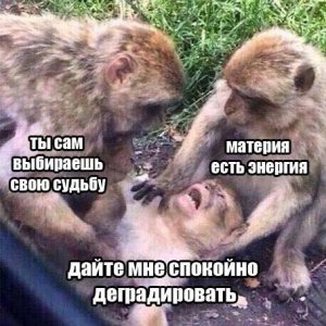 Дайте мне спокойно деградировать.jpg