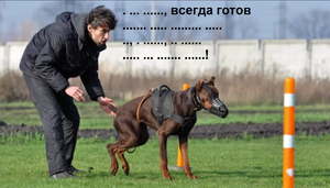 вкпу.png