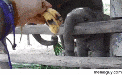 250x153_VMIj-min-min.gif