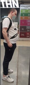 кон.jpg