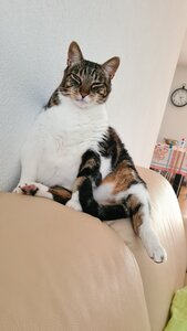 20201118_142656.jpg