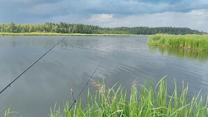 IMG_20210718_174108.jpg