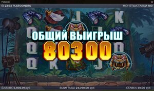 platooners_803x.jpg